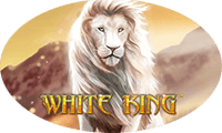 White King аппараты играть онлайн